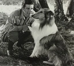 Lad, A Dog (1962)