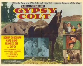 Gypsy Colt (1954)