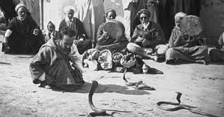 Na okraji Sahary (1930)