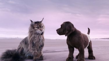 Kočka a pes: Šílené dobrodružství (2024)