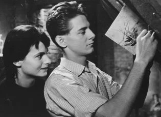 Romeo, Julie a tma (1959)