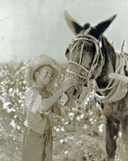 Hearts in Dixie (1929)