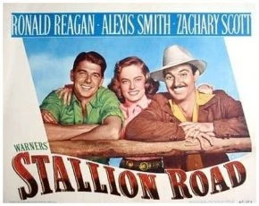 Stallion Road (1947)