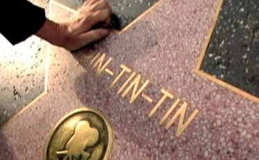 Po stopách Rin Tin Tina (2007) [TV film]