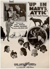 Up in Mary's Attic (1920)