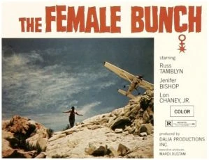 The Female Bunch (1971)