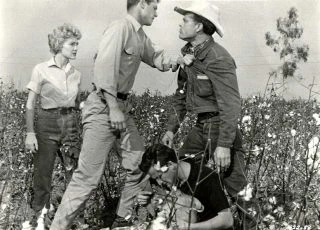 Untamed Youth (1957)