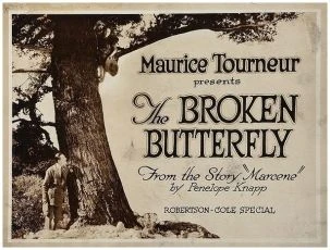 The Broken Butterfly (1919)