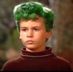 Chlapec se zelenými vlasy (1948)
