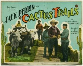 Cactus Trails (1925)