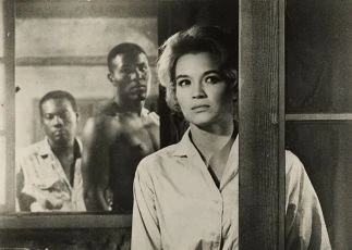 The Sins of Rachel Cade (1961)