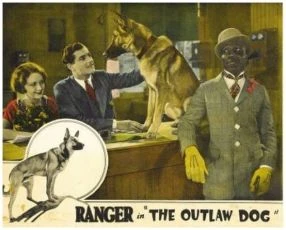 The Outlaw Dog (1927)