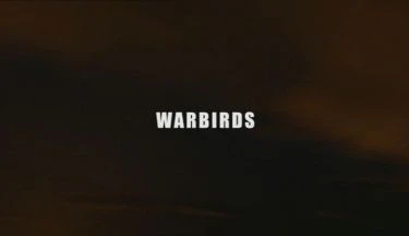 Váleční ptáci (2008) [TV film]