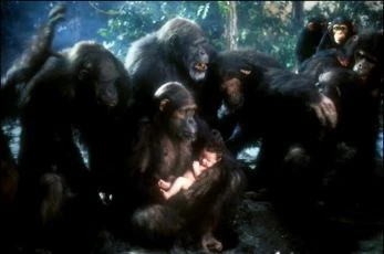 Tarzan / Příběh Tarzana, pána opic (1984)