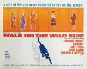 Walk on the Wild Side (1962)