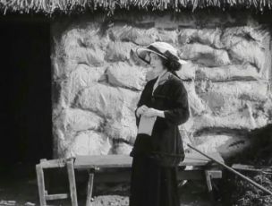 Castles for Two (1917)