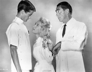 Tammy a doktor (1963)