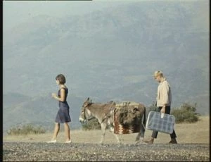 Ukradená nevěsta (1967)