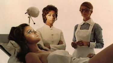 Die Weibchen (1970)