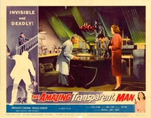 The Amazing Transparent Man (1960)