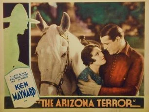 The Arizona Terror (1931)