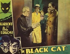 Černá kočka (1934)