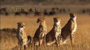 Africké kočky: Království odvahy (2011)