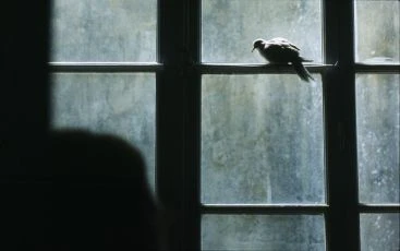 L'oiseau (2011)