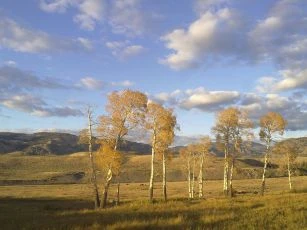 Yellowstone (2016) [TV epizoda]