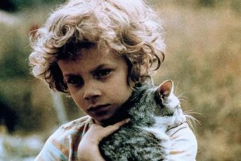 Kočičí princ (1978)