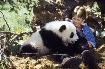 Dobrodružství malé pandy (1995)