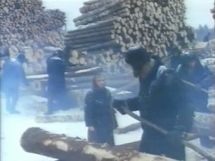 Pohřben na Sibiři (1991)