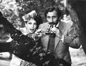 Anděl svádí ďábla (1988)