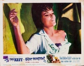 The Navy vs. the Night Monsters (1966)