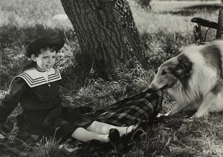 Lad, A Dog (1962)