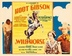 Wild Horse (1931)