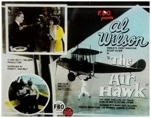 The Air Hawk (1924)