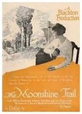 The Moonshine Trail (1919)