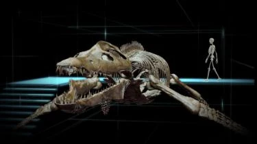 SeaRex 3D: Výprava do časů dinosaurů (2010)