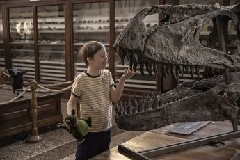 Mio fratello rincorre i dinosauri (2019)