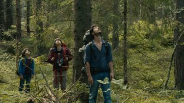 Dans la forêt (2016)