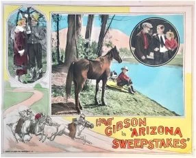 Arizona Sweepstakes (1926)