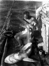 Ve znamení Kon-Tiki (1950)