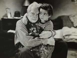 A Boy, a Girl and a Dog (1946)