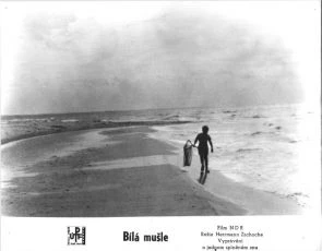 Bílá mušle (1964)