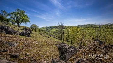 Fenomén Křivoklátska – pleše. Tady nikdy nerostl les