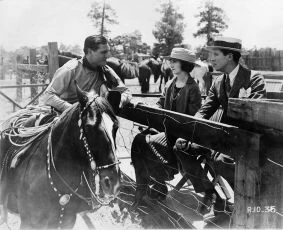 The Texan (1920)