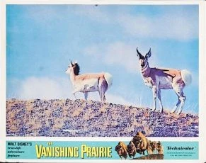 The Vanishing Prairie (1954)