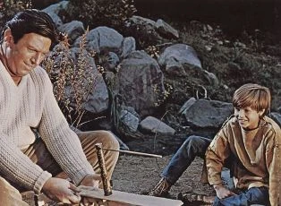 My Side of the Mountain (1969)