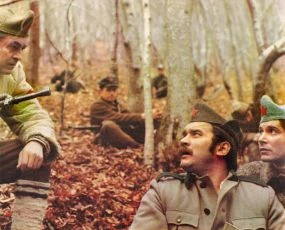 V horách roste zelená borovice (1971)